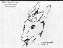 vltstudy.jpg by Sarah Wheeler (Noelani Manawolf)