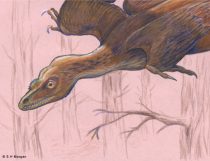 glider.jpg by Susan Morgan (DeNonikus, Shoes, Chasmosaur)