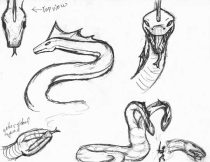 hydrajd2.jpg by Jennifer De Salme