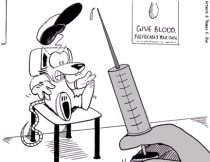 ferrhypo.gif by Thomas K. Dye (Kevin J. Dog)