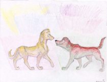 fd2.jpg by Amanda Faber (Aardwulf)