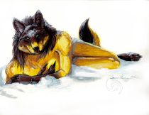 lakotasnow.jpg by Sarah Wiedemann (Kestrel)
