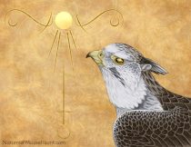gryph24.jpg by Corene Werhane (Nezumi)