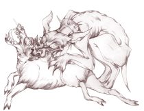 sheep4.jpg by Margaret Petrie (Nduli)