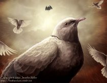 fromabove.jpg by Jennifer Miller (Nambroth)