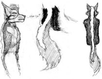kittip3.gif by Arthur Pearson (Picklejuice)