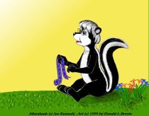 altskunk.jpg by Donald Brown (oldrabbit)
