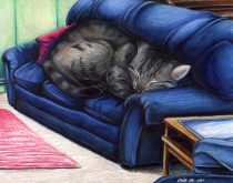 em-couch.jpg by Erin Middendorf (Dingbat)