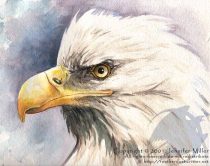 eglwatr.jpg by Jennifer Miller (Nambroth)