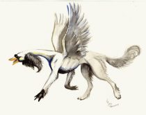 swandog.gif by L.N. Dornsife (Thornwolf)