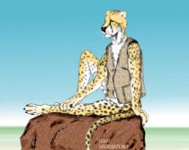 chetrok.jpg by Jason Williams (Ocicat)