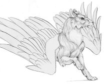lupine2.jpg by Megan Giles (SpaceCat)