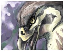 birdthing.jpg by Amy Fennell (Lyosha)