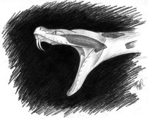 dksk.jpg by Tiffany Miller (Sketch, Swift Claw)