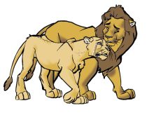 liontear.jpg by Teresa Warner (Carolyna Cougar)