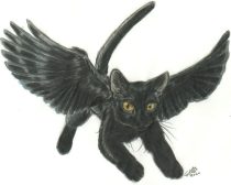 wingcat3.jpg by Gloria Higginbottom (Twap, Snitter)