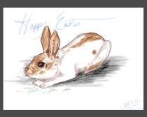 blitzieeaster.jpg by Sarah Wiedemann (Kestrel)