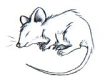 matio5.jpg by Matio Lister (Strange-Mouse)