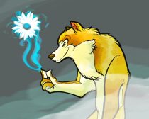 largo1.jpg by Mary Minch