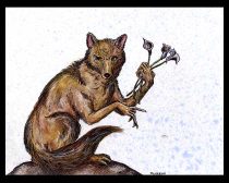 deathcoyote.jpg by Grace D. Palmer