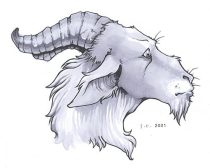 goatish.jpg by Jenn Rodriguez (PacRat)