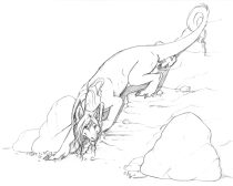 catdragon1.gif by L.N. Dornsife (Thornwolf)
