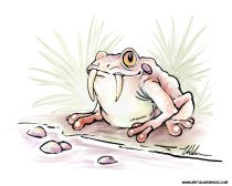 sabertoad.jpg by Ursula Vernon