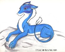 bludrgn.jpg by Audrey Walker (KrazyKlaws, WolfDreamer)