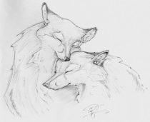 amadhi_foxes.jpg by Timothy Albee (Amadhi)