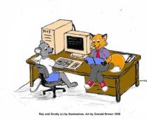 ratsully.jpg by Donald Brown (oldrabbit)