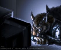dfgf.jpg by Modryd Faulkner (Fangs)