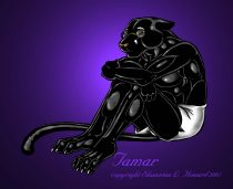 sologuy.jpg by Shawntae Howard (Tamar the Ebony Leopard)