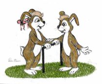 bunnys44.jpg by Donald Brown (oldrabbit)
