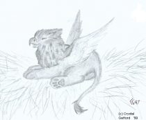 babygrif.gif by Crystal Gafford (Kittrel)