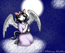 wm-angel.gif by Whitney Mattila (Dash, Tia, Matilda)