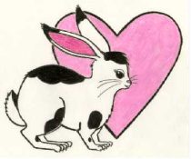 hugger.jpg by Heather Fieldhouse (BunnyHugger, Ringo)