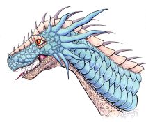 bluedragonhead.jpg by Lis Boriss (Lizardbeth)