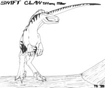 swift01.jpg by Tiffany Ross (Syke)