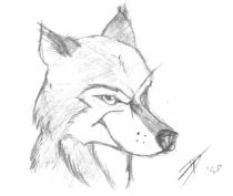 hwlfhead.jpg by Trent Drake (Hiker)