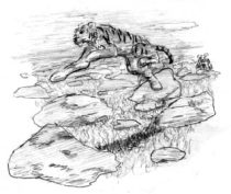 wtigers1.jpg by Arthur Pearson (Picklejuice)