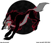 neonandblack.jpg by Margaret Petrie (Nduli)
