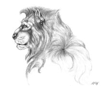 leonine.jpg by Modryd Faulkner (Fangs)