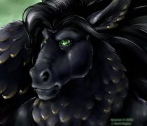 caerrickfinal.jpg by Amy Fennell (Lyosha)
