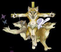 nobldcru.jpg by Claire Hummel (Shoom'lah)