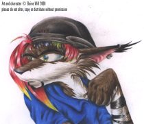 hack13.jpg by Elaine Will (DLM X-13, Len)