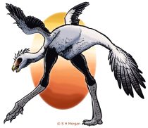 caudiptr.jpg by Susan Morgan (DeNonikus, Shoes, Chasmosaur)