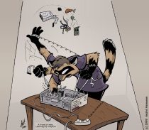 compcoon.jpg by Andre' Heinonen