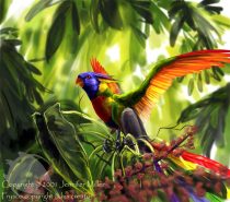 frscfol.jpg by Jennifer Miller (Nambroth)