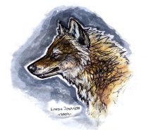 goldenwolf_color_sketch.jpg by Linda Jonsson (Tae)