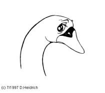 dh013.gif by Dietmar Heidrich (Arved)